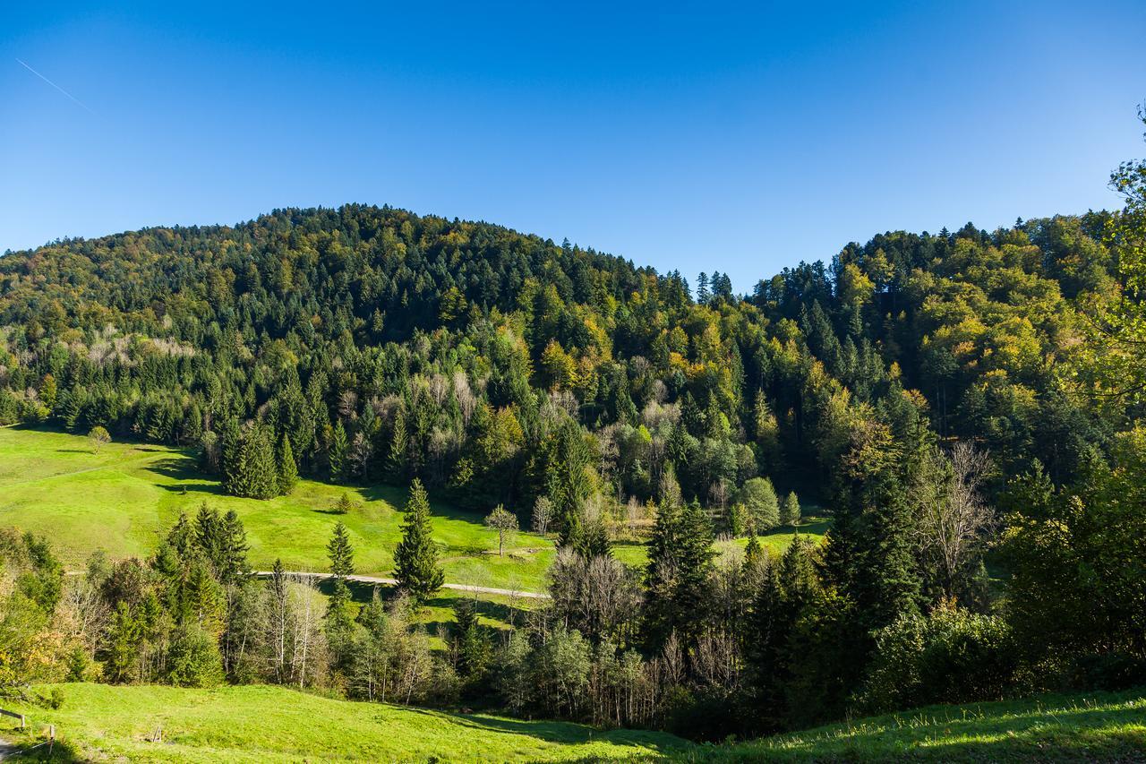 Hotel Bad Rain Mit Oberstaufen Plusgolf Zewnętrze zdjęcie