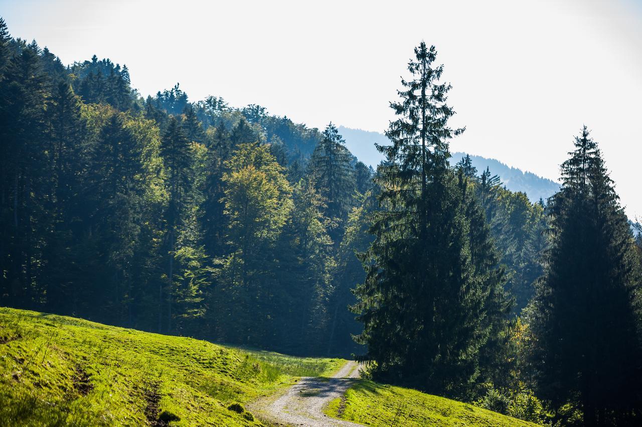 Hotel Bad Rain Mit Oberstaufen Plusgolf Zewnętrze zdjęcie