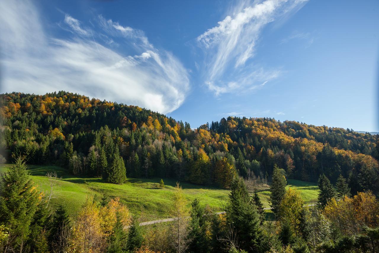 Hotel Bad Rain Mit Oberstaufen Plusgolf Zewnętrze zdjęcie